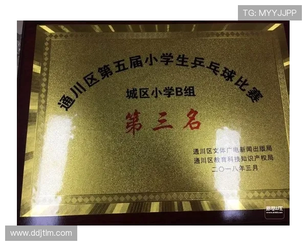 以乒乓球为核心探讨运动精神与竞技魅力及文化传承的深度剖析研究